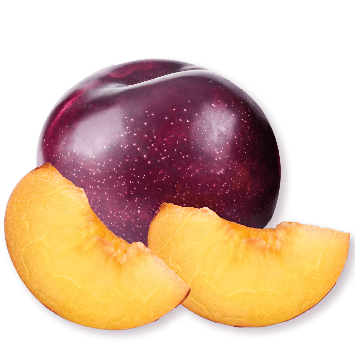 sweet plum