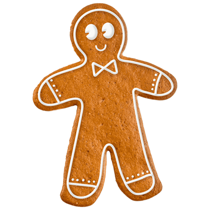 spiced gingerbread cookie
