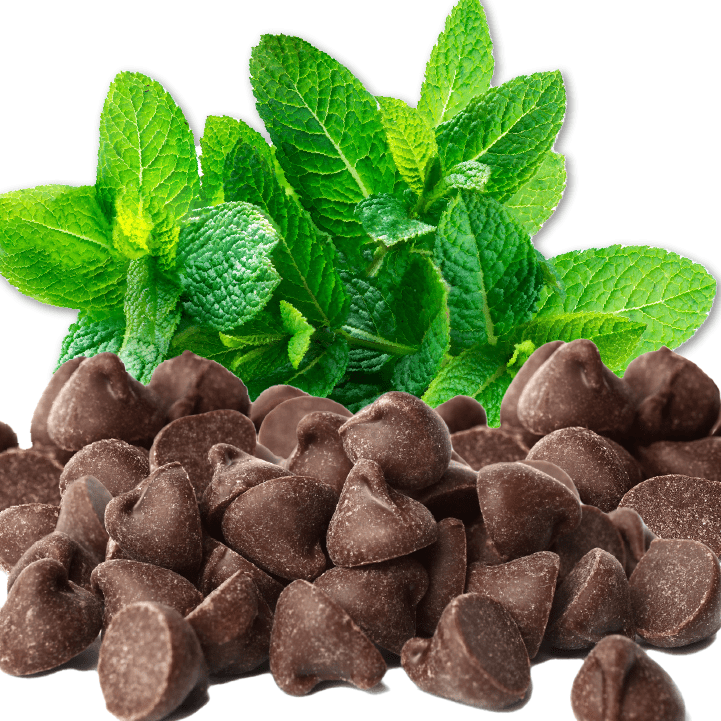 vegan mint chocolate chip made with almond milk
