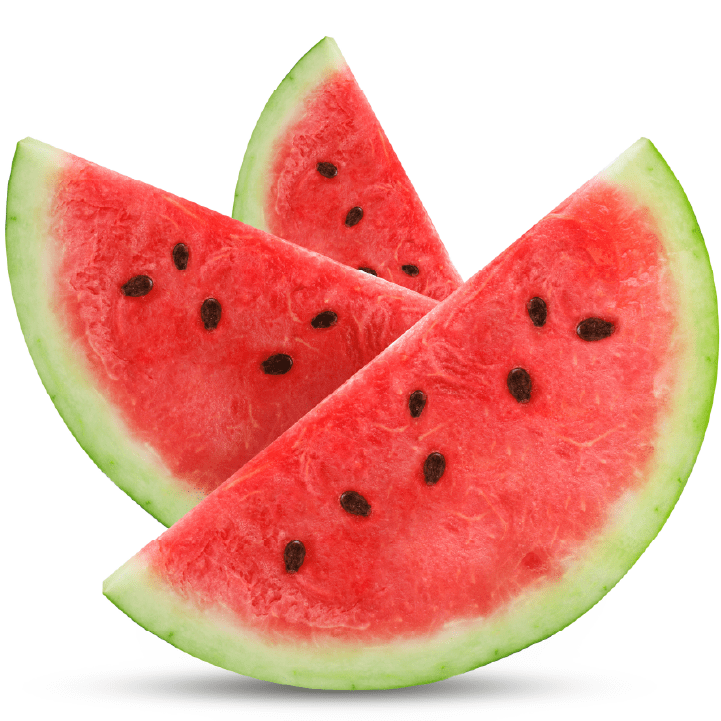 vegan watermelon sorbet